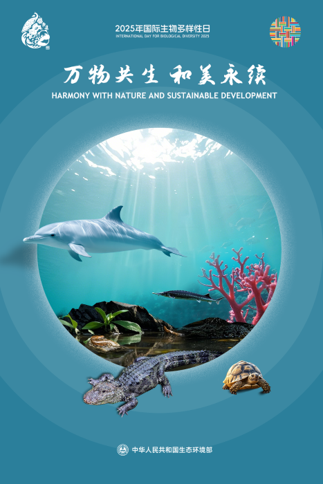 2025年国际生物多样性日宣传活动主题宣传海报 (2)